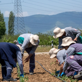 Hektaş’tan Orta Asya Ve Afrika Atağı