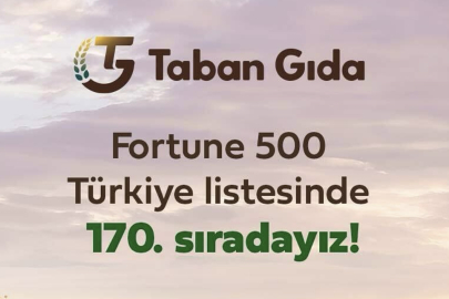 Türkiye'nin Dev Gıda Tedarikçisine Konkordato Koruması: Fortune 500 Şirketi İçin 3 Aylık Kritik Süre Başladı