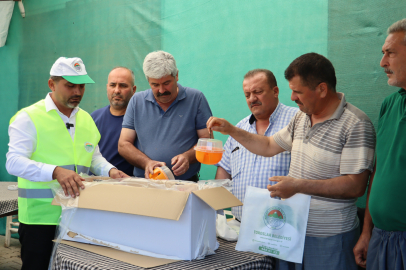 Toroslar Belediyesinin Tohum Desteği İlk Hasadını Verdi