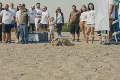 Caretta Caretta’ların Göç Rotalarına Uydu Takibiyle Işık Tutuluyor
