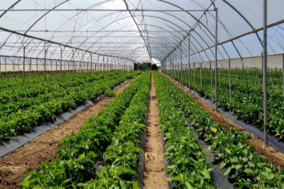 Adana Karataş’ta 1,2 Milyar Liralık Sera Yatırımı