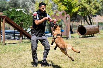 ABB’nin K9 Ekipleri Başkent'te Görev Başında