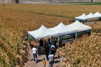BAYER, Agro Arena Etkinliğinde Hatay’da  Binin Üzerinde Mısır Üreticisiyle Buluştu