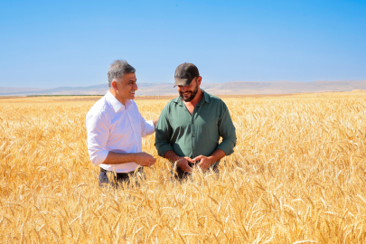 ETİ, Kuraklığa Dayanıklı Kanatlı Buğdayı'nın İlk Tohumluk Hasadını Gerçekleştirdi