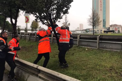 Aylık Toplam Yağışın 4 Katı Bir Günde Düştü