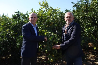 Satsuma Mandalinanın İhracat Yolculuğu Başladı